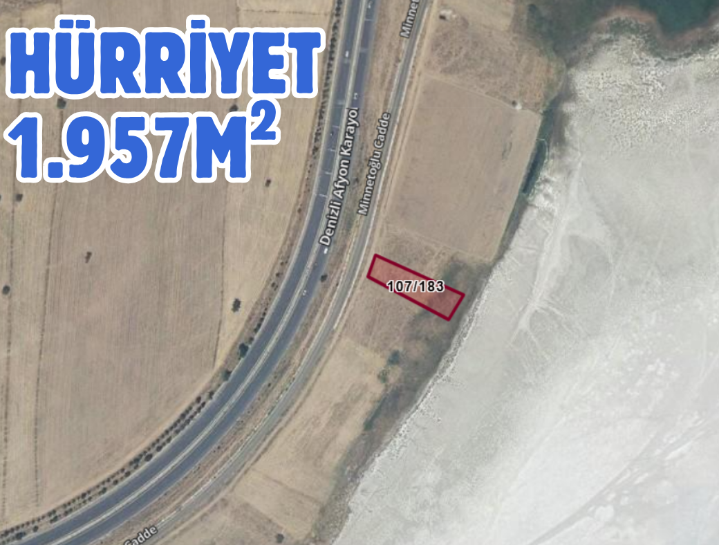 Fotoğraf